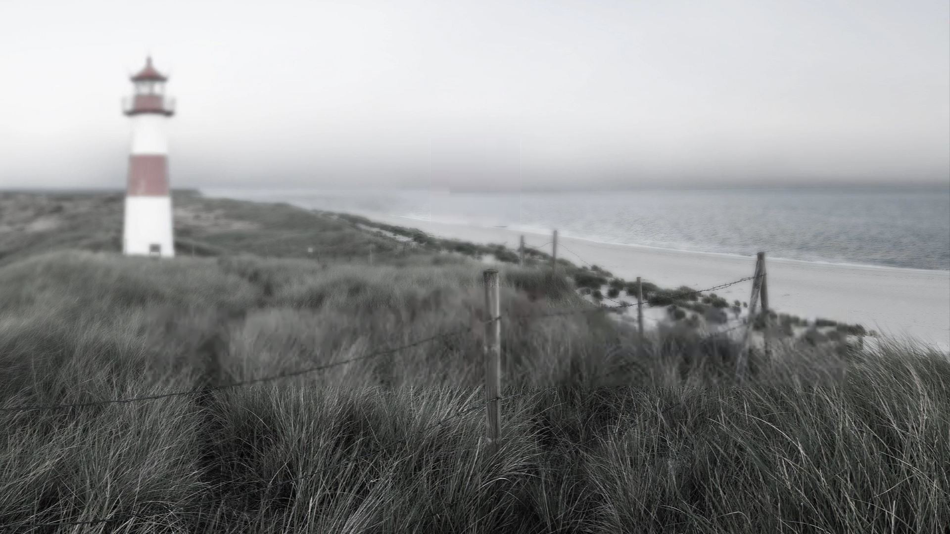 Dyżury eksperta ds. Dyrektywy Drugiej Szansy