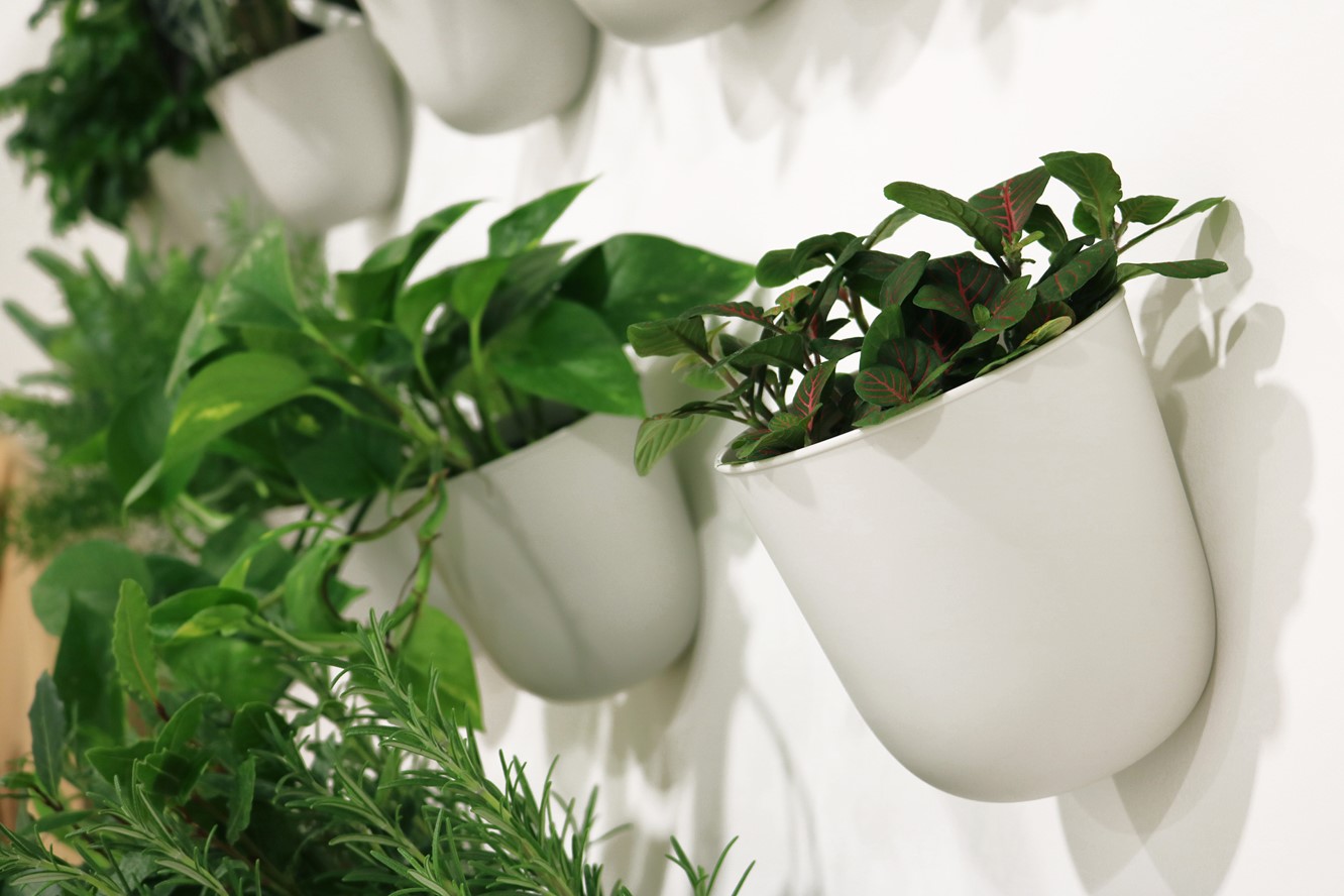 na białej ścianie wiszą przymocowane osłonki na doniczki w kolorze białym. Osłonki wyglądaj jakby były przyklejone do ściany. W osłonkach są schowane rośliny, które tworzą ciekawe kompozycje na tle ściany