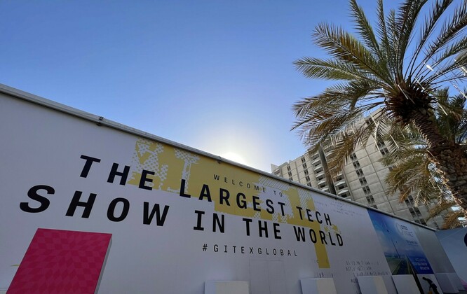 Widok na kawałek muru na tle nieba i palmy