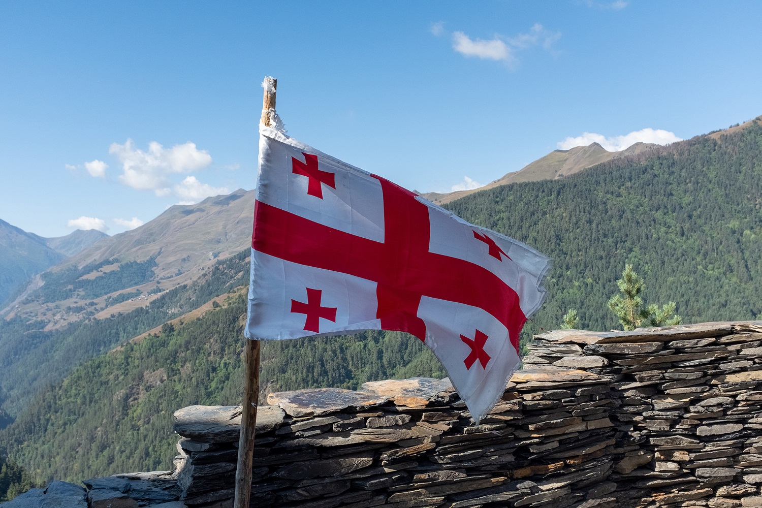 Podsumowujemy 3-letni projekt pomocowy dla Gruzji